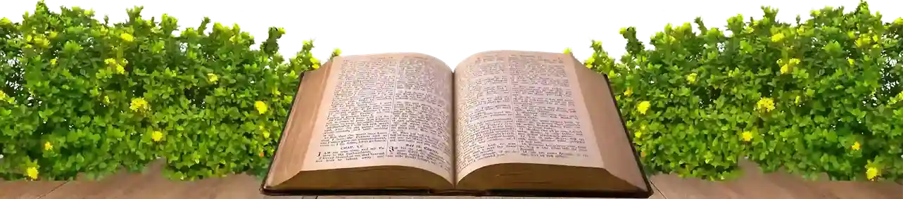La Biblia